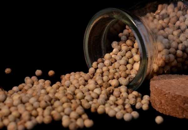 Pimenta do reino emagrece?