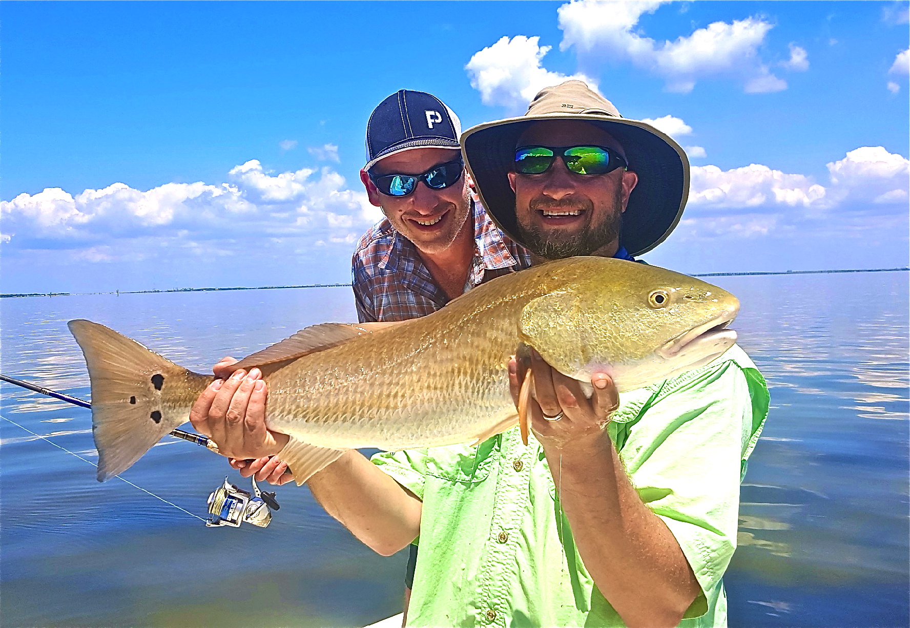 Redfish