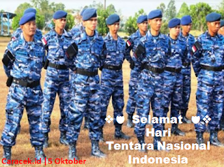 hari-tentara-nasional-indonesia-7