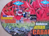 VCD Budiaya cabe ini membahas bagaimana cara Budidaya cabe yang benar baik mulai dari Cara pengolahan Tanah, Persiapan persemainan, Pumupukan, pengendalian HPT DLL yang tentunya semua itu akan membawa dampak ke Hasil dan Rendemen Panen. Sehingga dengan cara Budidaya yang benar tersebut akan menguntungkan petani penanam.