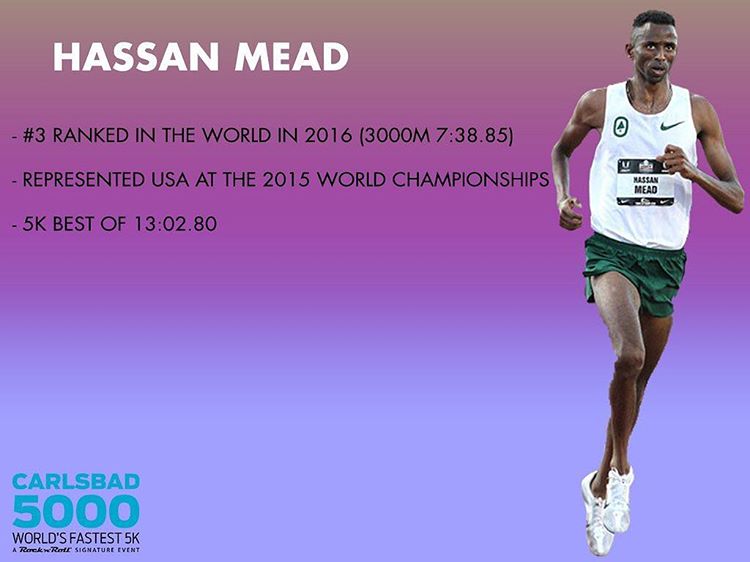 Down the Backstretch Hassan Mead Running Carlsbad 5K