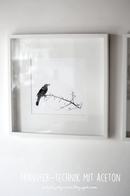 Ein Schweizer Garten Transfertechnik Mit Aceton