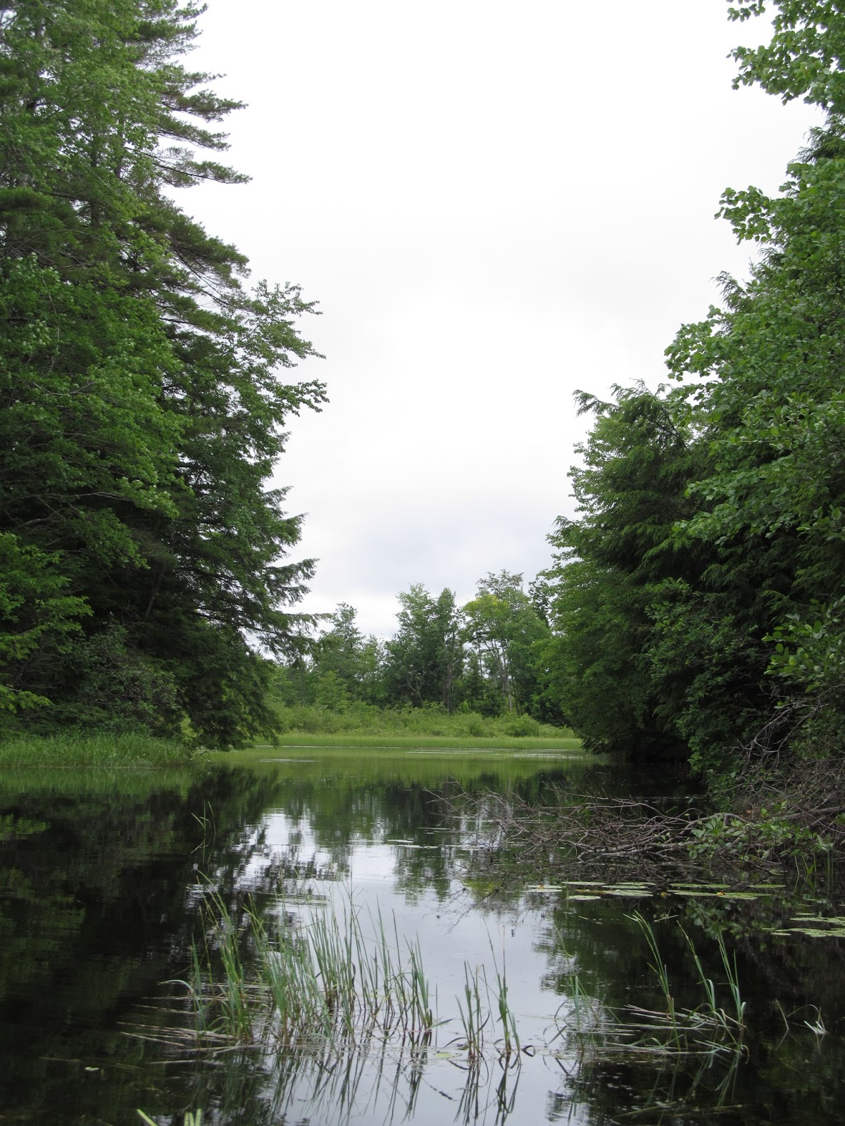 Recreational Kayaking in Maine Sokokis Lake, Limerick, ME