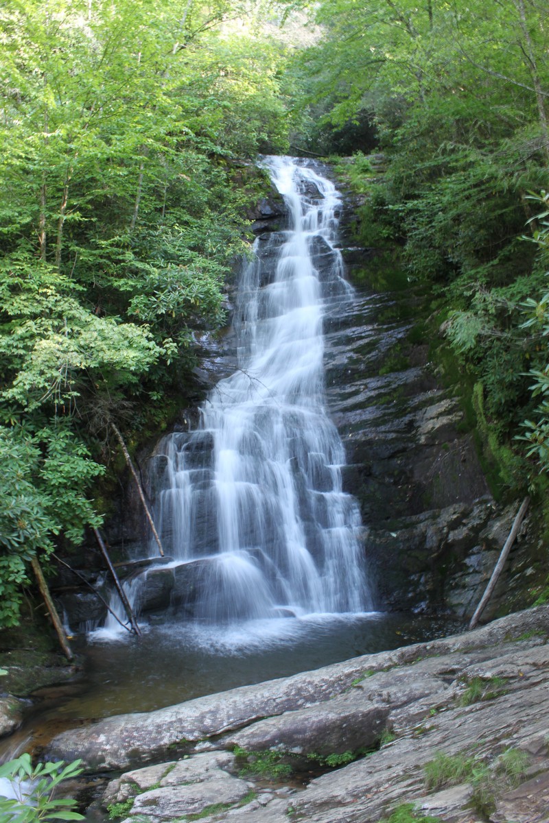 Til the Last Hemlock Dies Red Fork Falls