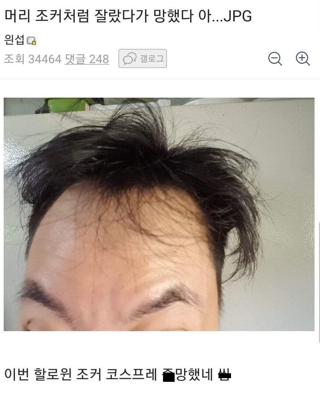 싱글벙글 디씨 헤어스타일 갤러리 일상 - 짤티비