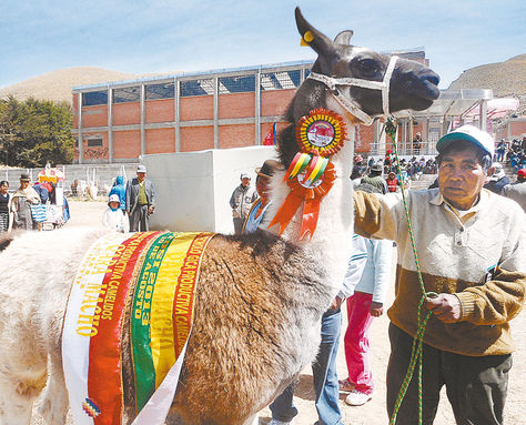 Turco:municipio orureño (Bolivia)