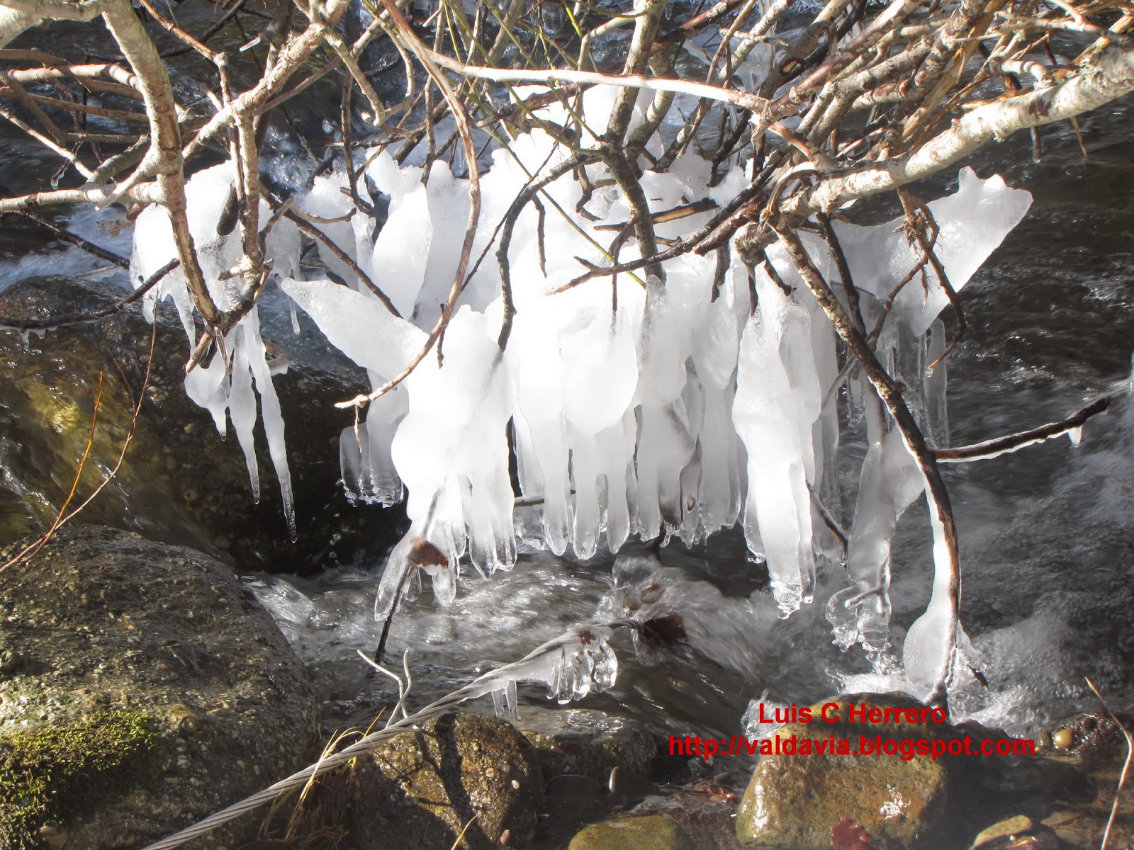 Naturaleza de la Valdavia: Ruta a la Fuente de Cobre
