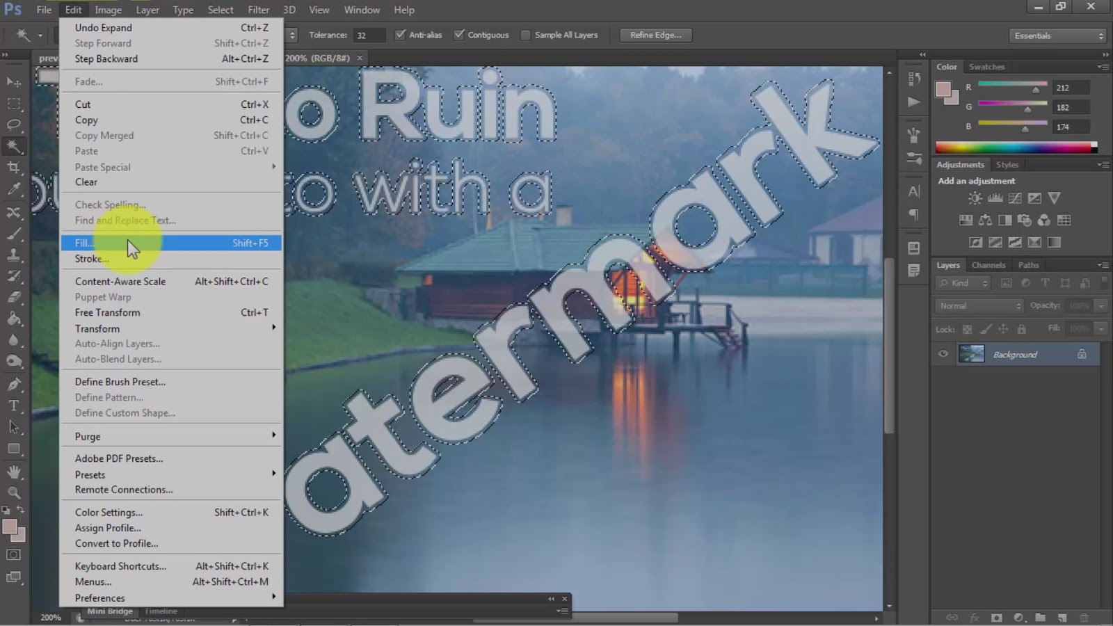 How to Quickly Watermark Remove From Photo
