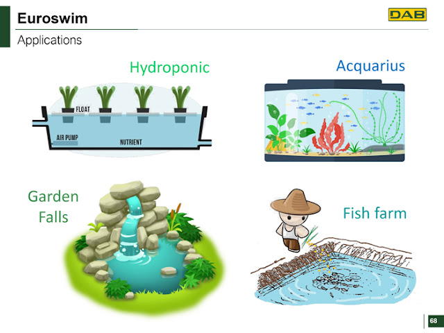 Máy bơm hồ bơi Eurosiwm đạt tiêu chuẩn chất lượng cao 2020 Máy bơm hồ bơi Eurosiwm đạt tiêu chuẩn chất lượng cao 2020