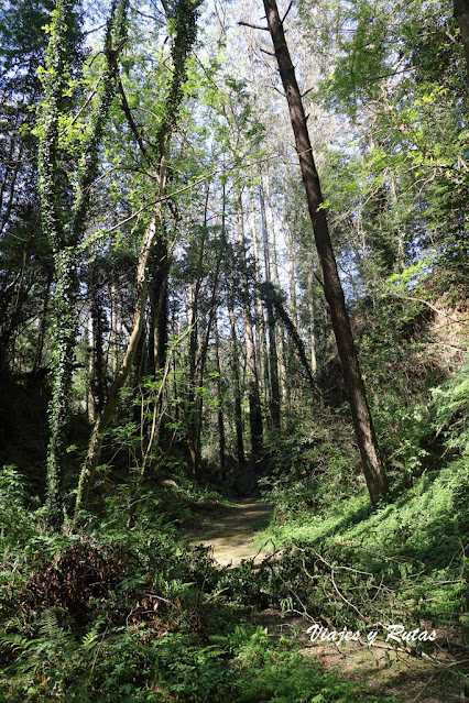 Cuevas de Andina, Asturias