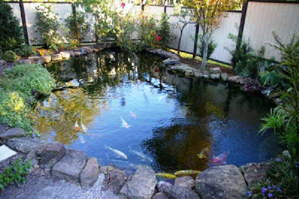 Desain Kolam Ikan Hias Minimalis Desain Kolam Ikan Hias Minimalis