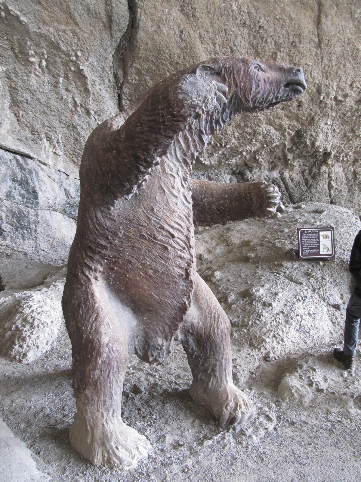 Around the World in 8000 days The Milodon Cave and the trip to Torres