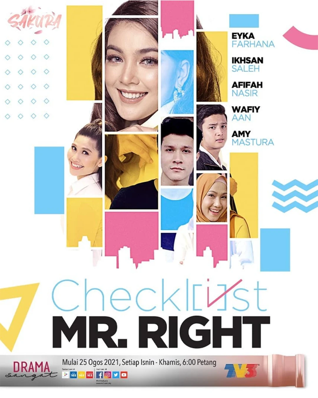 Drama Checklist Mr Right