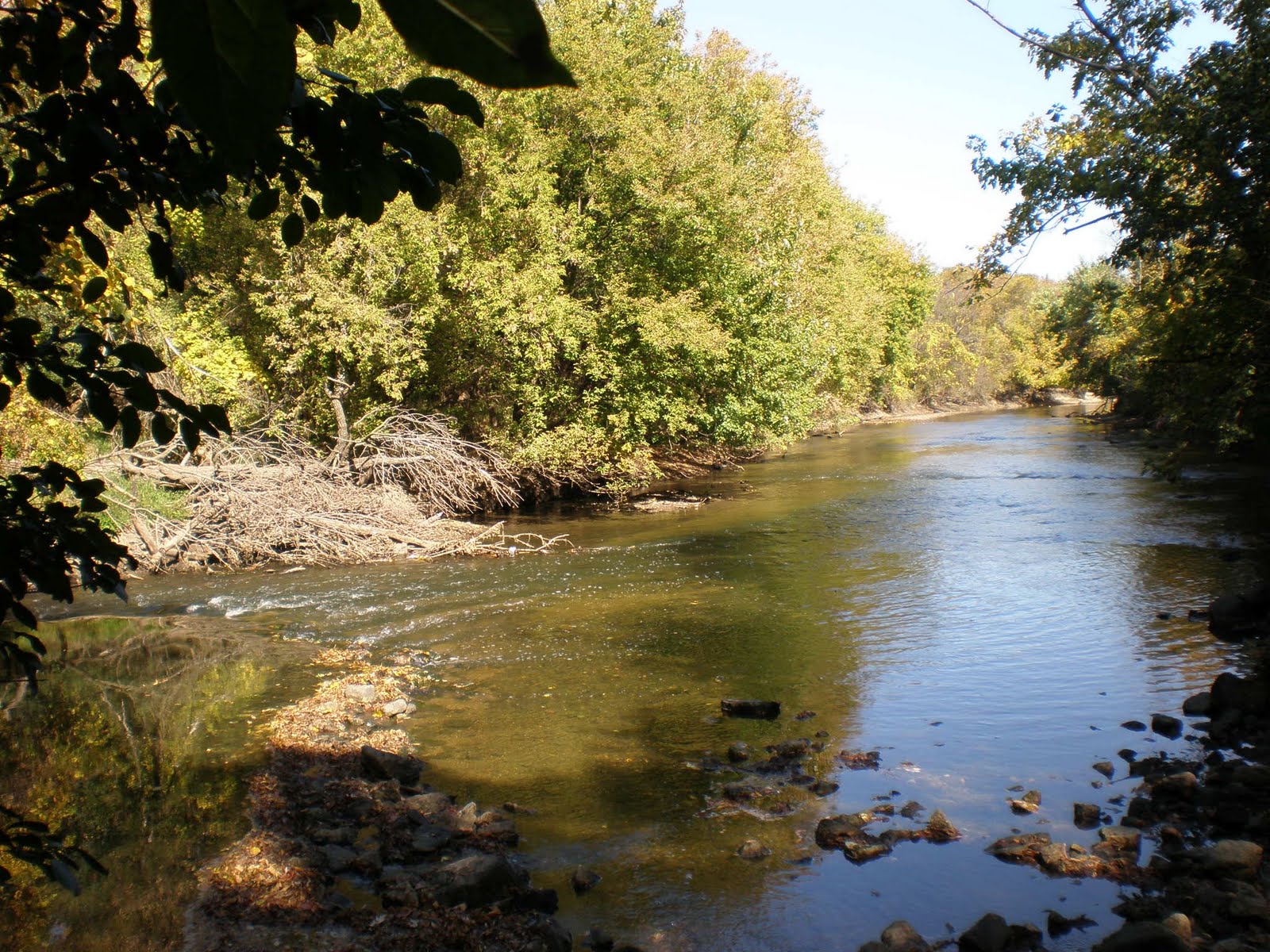 Chicago, Forest Preserve District Cook County