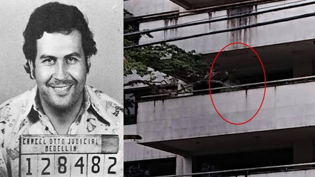 Supuesto fantasma de Pablo Escobar en edificio aterra en la web