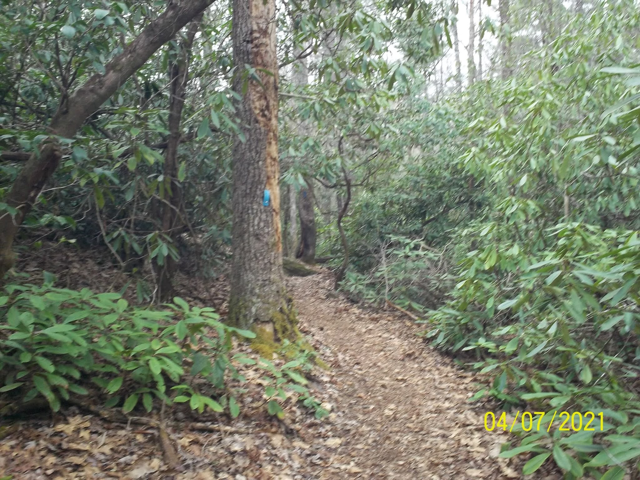 Appalachian Trail Adventures 2021 Fires Cr. Recreation Area Rim