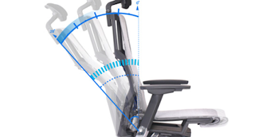 Livemotion Lumbar Support - Powerfit Chair