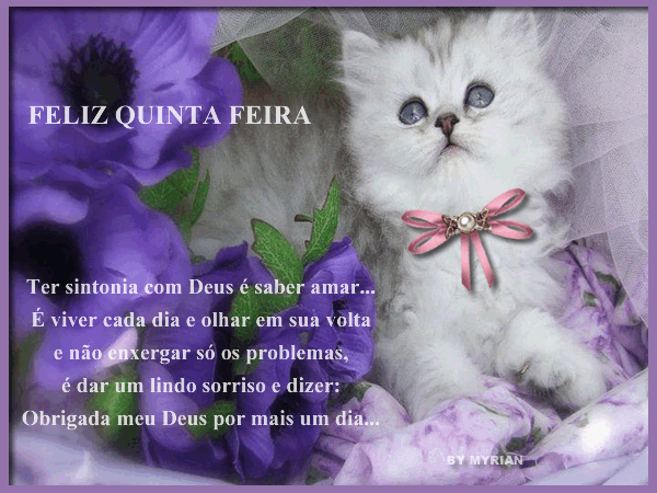 quinta19.gif