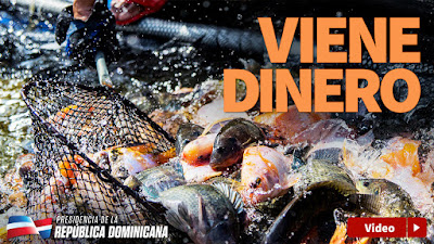 VIDEO: Viene dinero