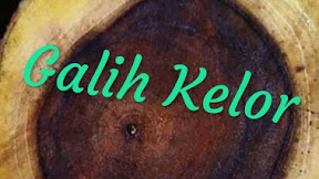 √ [BIDARA] Khasiat Galih Kelor Dalam Dunia Mistik