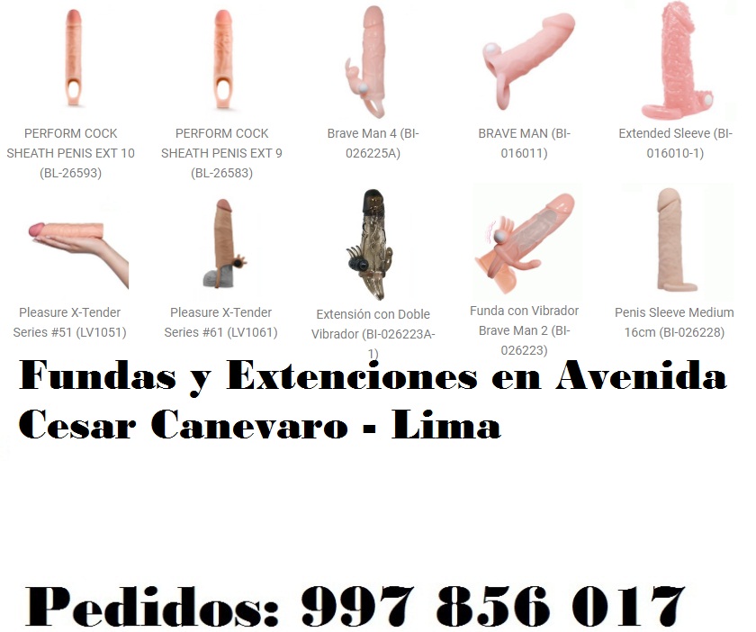 en Avenida Cesar Canevaro - Lima