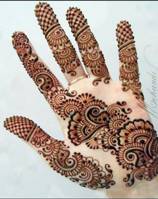 Net Print Pakistani Henna Design