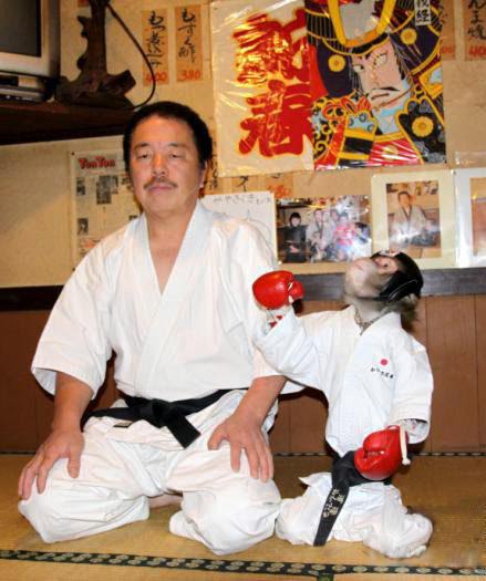 karate monkey weight