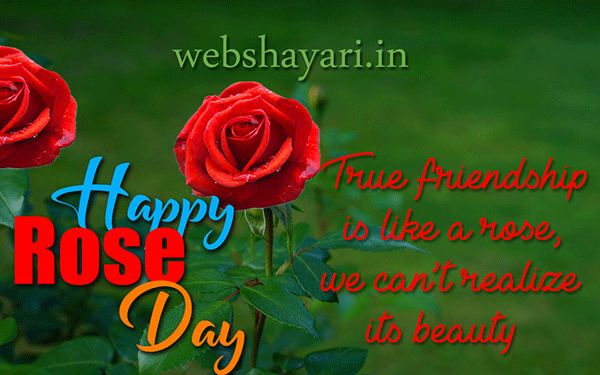  today is rose day 