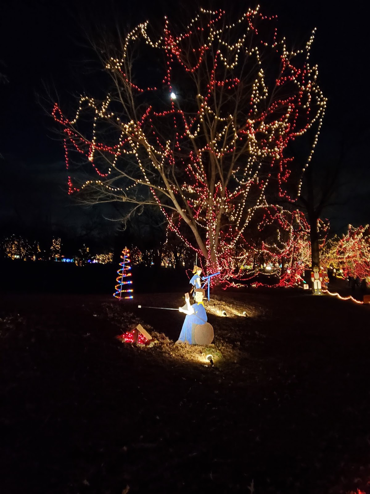 Play St. Louis Celebration of LIghts, Ft. Zumwalt Park, O'Fallon