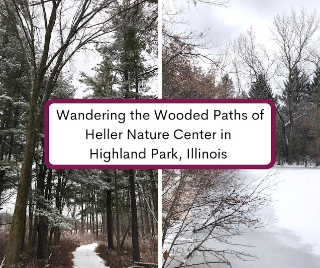 Wandering the Wooded Paths of Heller Nature Center in Highland Park, Illinois