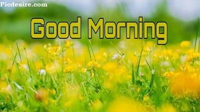 Cute Good Morning Images for Whatsapp | Best 21 Cute Good morning Photo Cute Good Morning Images for Whatsapp | Best 21 Cute Good morning Photo