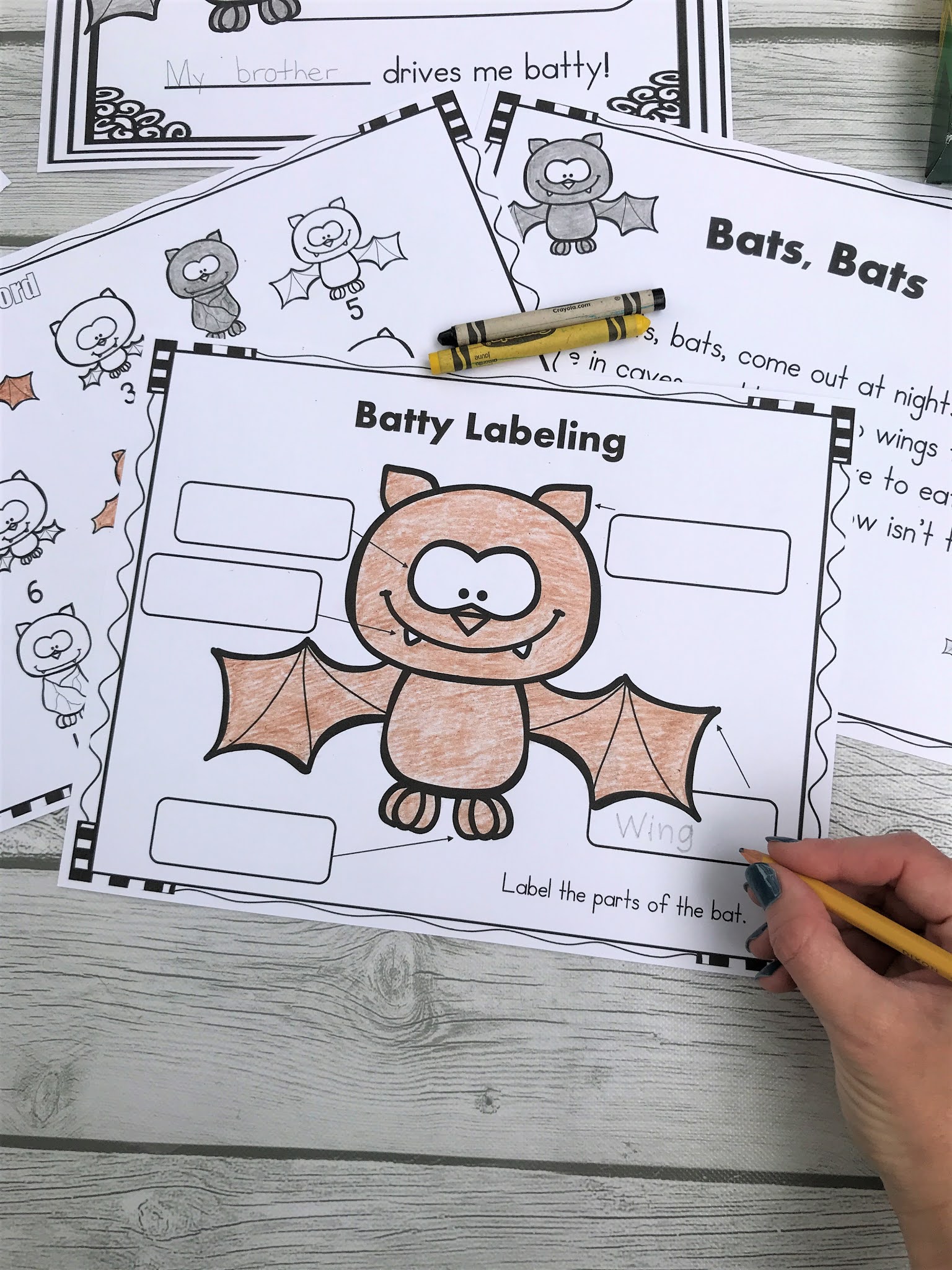 FREE Bat Themed Activities for Kindergarten Mrs. McGinnis' Little Zizzers