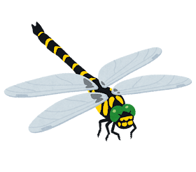 ヤゴ イラスト ヤゴ 可愛い イラスト