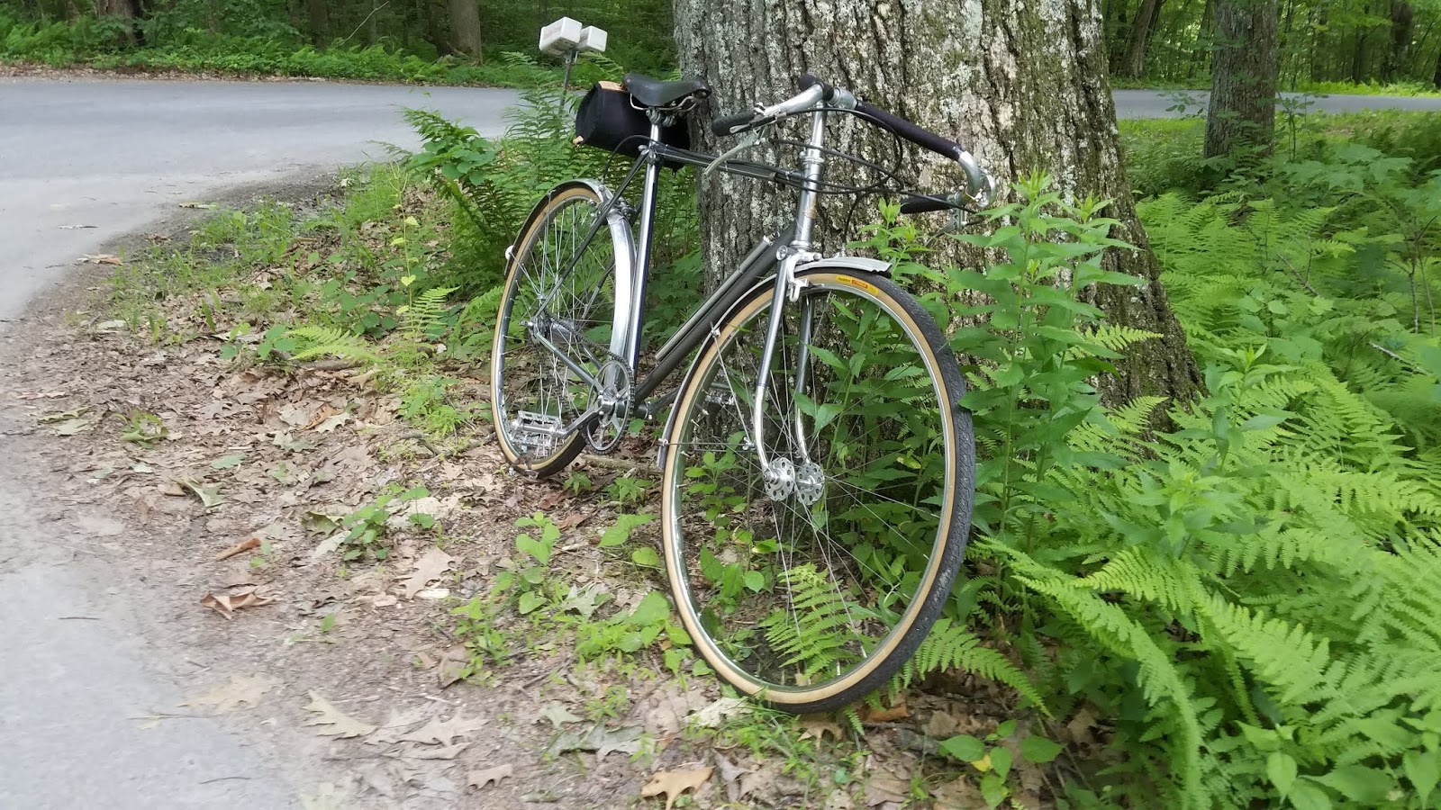 raleigh clubman vintage