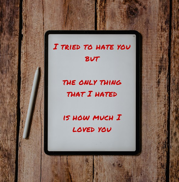 I tried to hate you but the only thing that I hated is how much I loved you