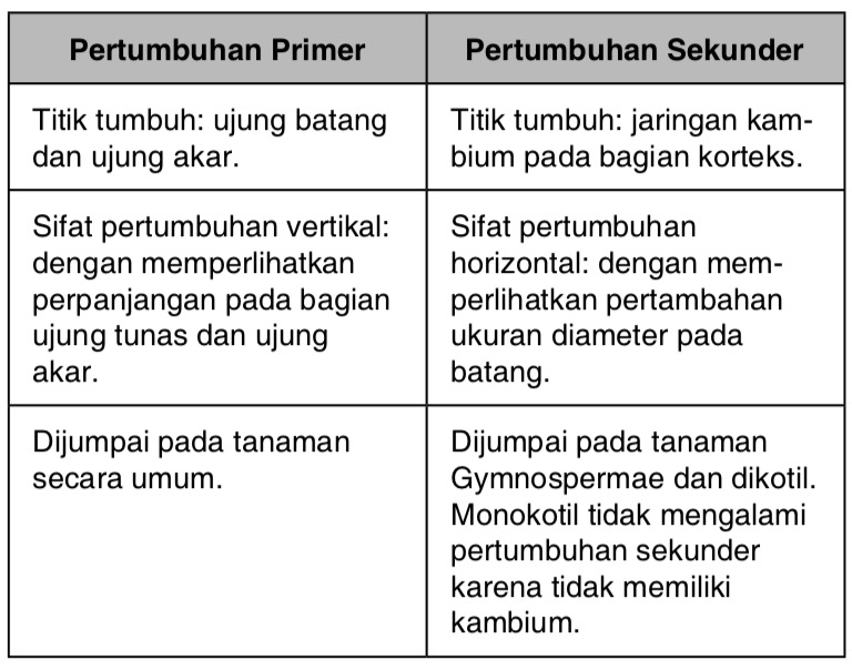 Jelaskan Perbedaan Antara Pertumbuhan Primer Dan Sekunder Buatlah