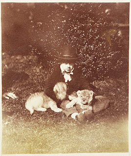 Clifton Hayvanat Bahçesi'ndeki Aslan yavruları, İngiltere, 1854.