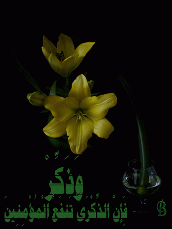 صور متحركة معبرة