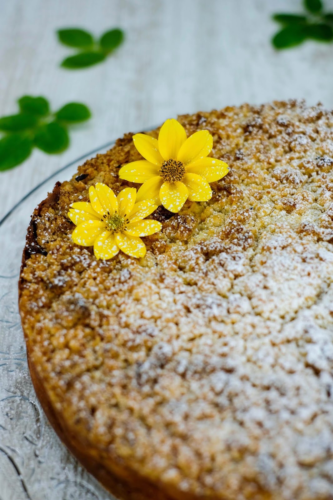 Mirabellen und Quark Streuselkuchen | Marion's Kaffeeklatsch Mirabellen und Quark Streuselkuchen | Marion's Kaffeeklatsch