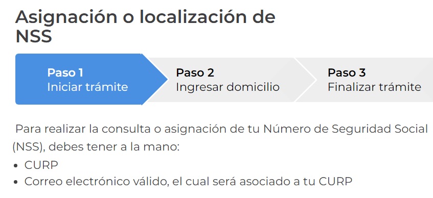 Asignacion o Localizacion de NSS Asignacion o Localizacion de NSS