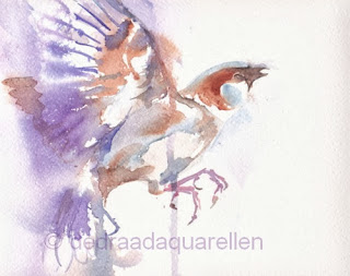 De Draad Aquarellen