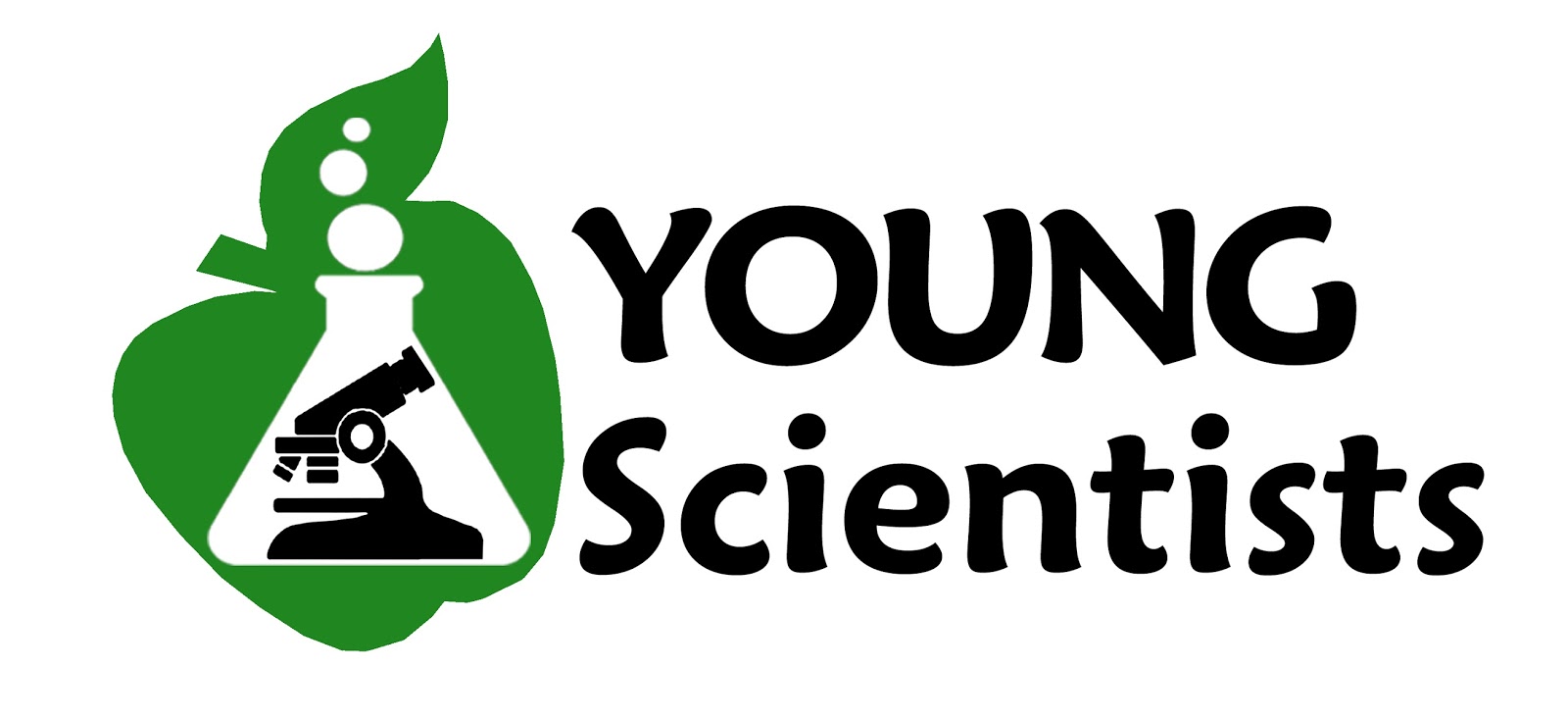 English Blog YOUNG SCIENTISTS