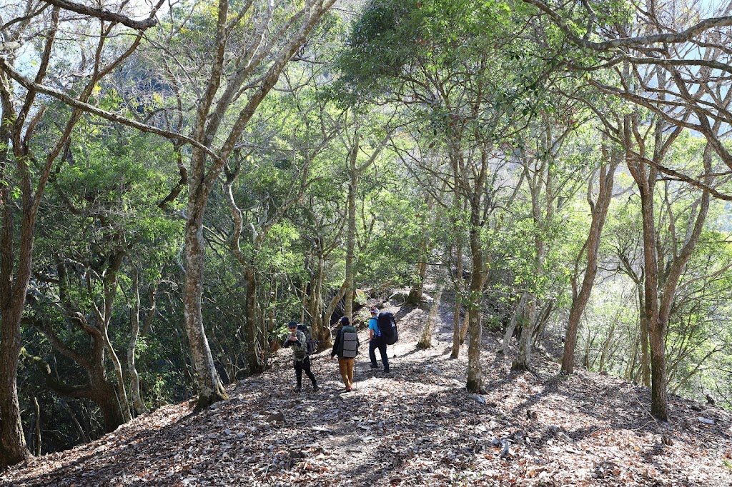 卡社山稜線準備攀升