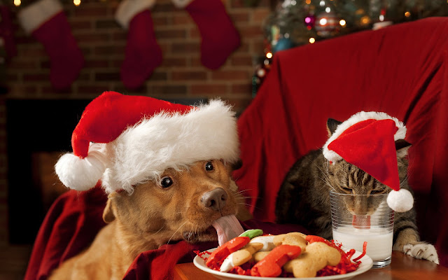 Christmas wallpaper with dog and cat