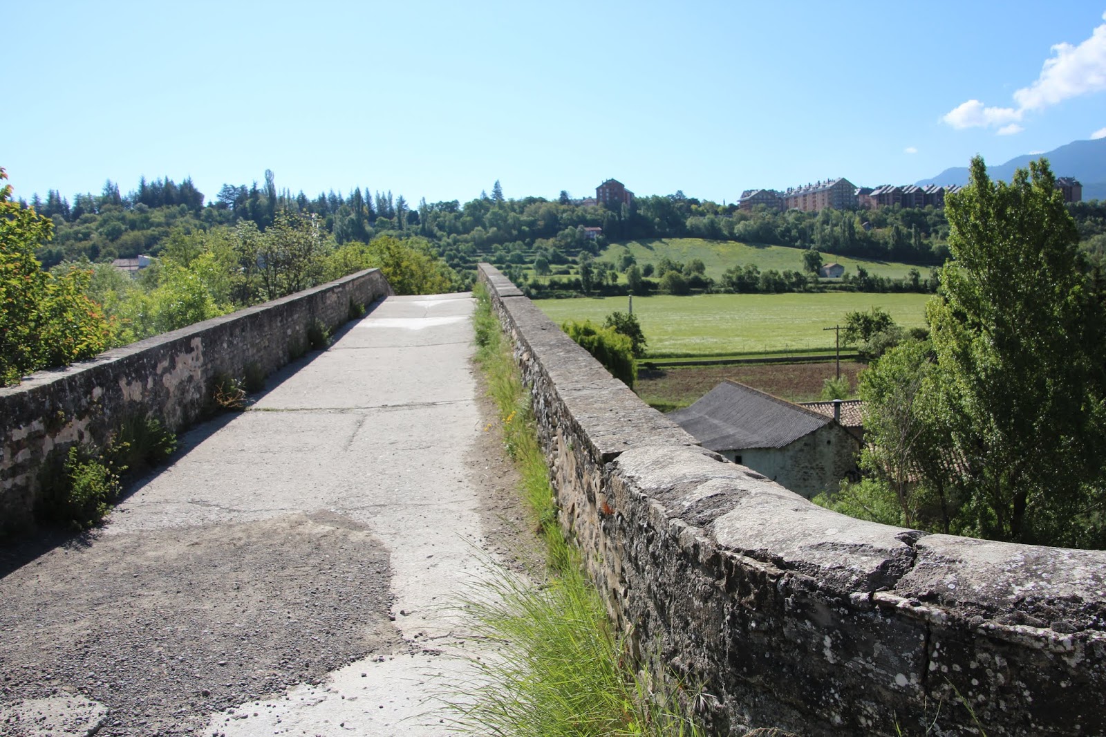 Historia y Genealogía Puente de San