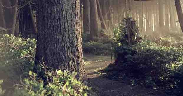 Konservasi Pengertian Menurut Para Ahli Zega Hutan