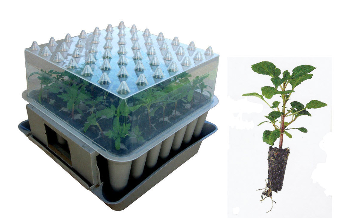 Alans Allotment AGRALAN Compact Plug Plant Trainer