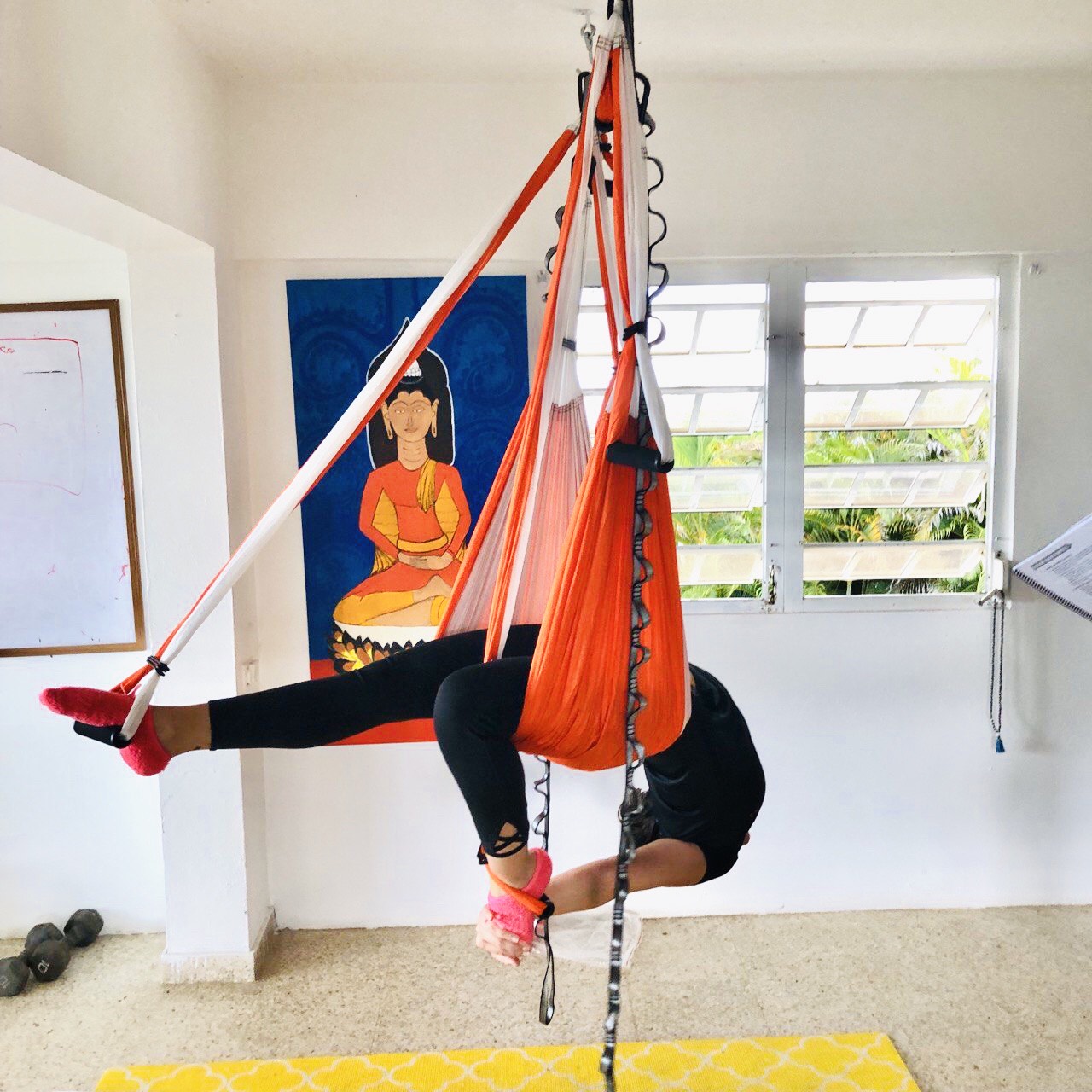 yogacreativo.com: Una Sesión de Fitness Aéreo, Yoga Aéreo y Meditación en  el Columpio en el AeroYoga® Institute de Puerto Rico, en la Casa de la  Ceiba.