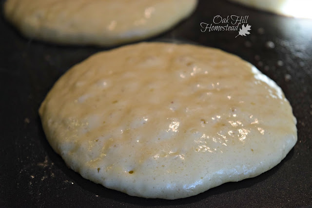 Don't flip your pancakes until the top is bubbly and the edges are dry. The flip once and cook until done.