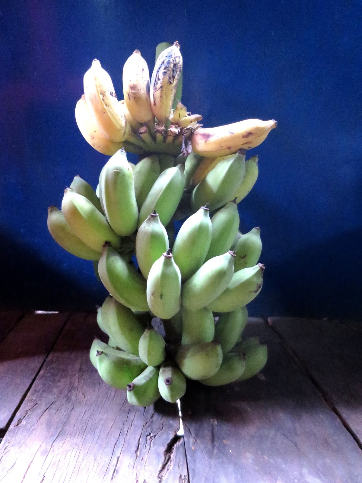 Koh Trong Kratie Cambodia Cooking Grilled Banana With Sweet Rice